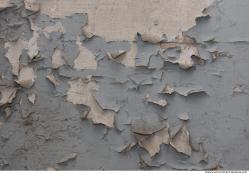 Walls Plaster